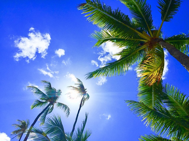 日焼け止めがハワイで禁止だと！？禁止理由と日焼けリスクまとめ！